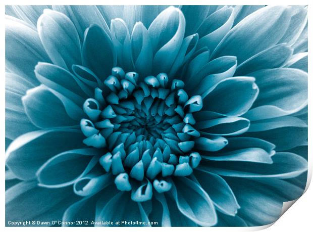 Blue Flower Print by Dawn O'Connor