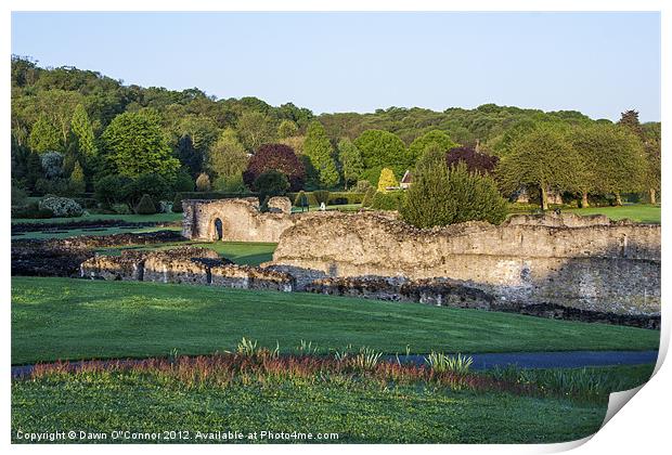 Lesnes Abbey Ruins, Abbeywood Print by Dawn O'Connor