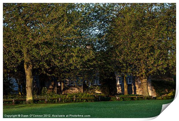 Lesnes Abbey Ruins, Abbeywood Print by Dawn O'Connor