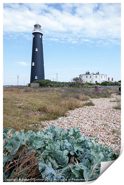 Dungeness Lighthouse Print by Dawn O'Connor