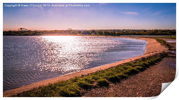 Riverside Country Park Winter Sunshine Print by Dawn O'Connor