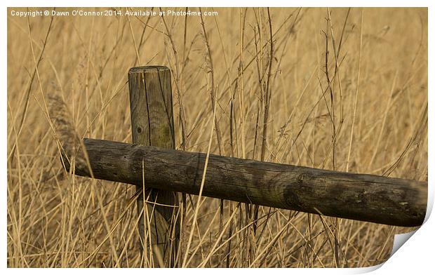 Fence Post Print by Dawn O'Connor