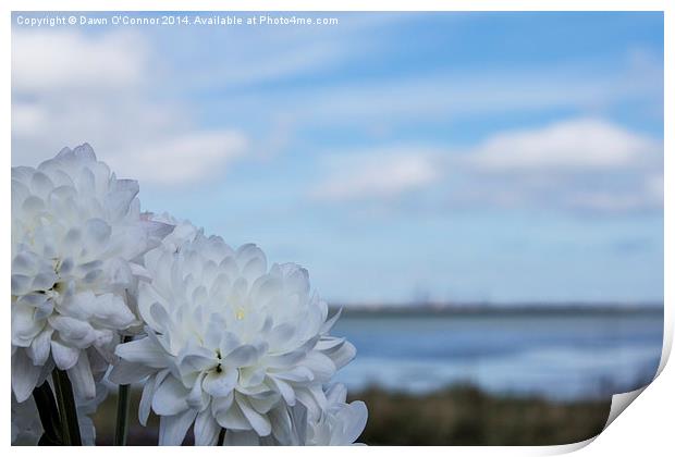 Riverside Country Park Print by Dawn O'Connor