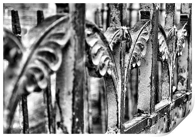 The Iron Gate in Black and White Print by Lauren Meyerink