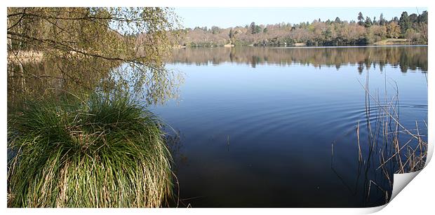 Virginia Water Lakes Print by David Woollands