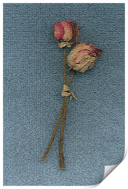 Paper roses Print by Graham Piper