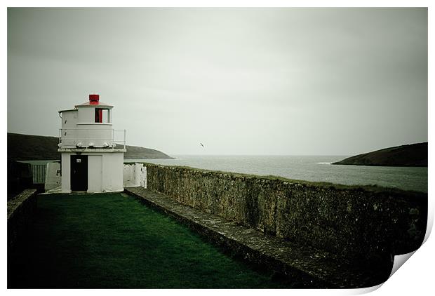Charles Fort Lighthouse Print by Declan Howard