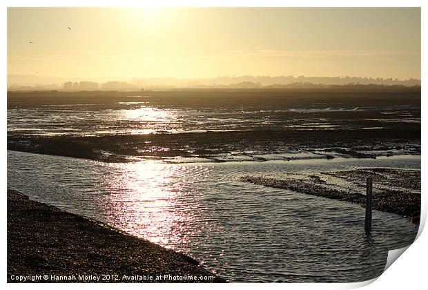 Rye Harbour Nature Reserve Print by Hannah Morley