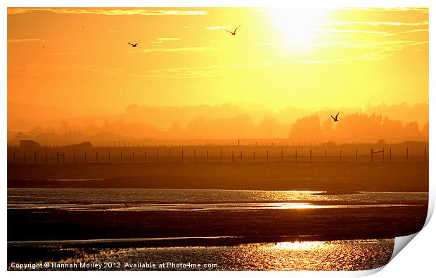 Rye Harbour Nature Reserve, Sunset Print by Hannah Morley