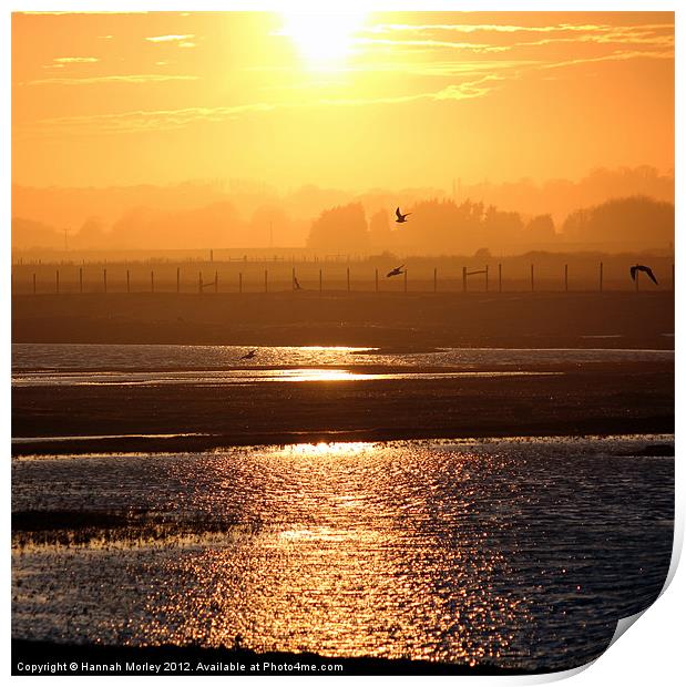 Rye Harbour Nature Reserve, Sunset Print by Hannah Morley