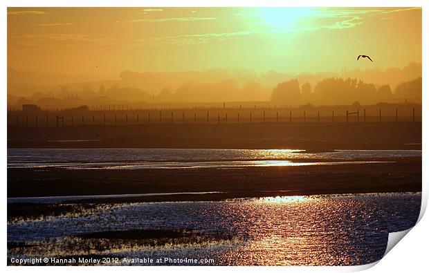 Rye Harbour Nature Reserve, Sunset Print by Hannah Morley