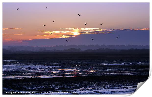 Rye Nature Reserve Sunset Print by Hannah Morley