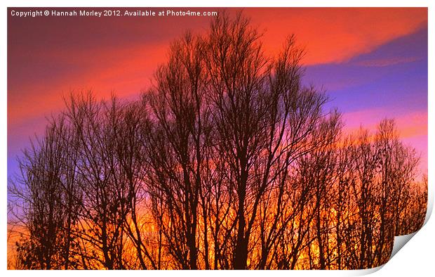 Sunset Silhouette Print by Hannah Morley