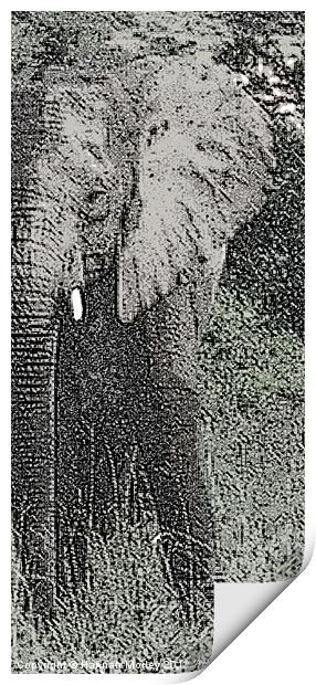 Elephant Print by Hannah Morley