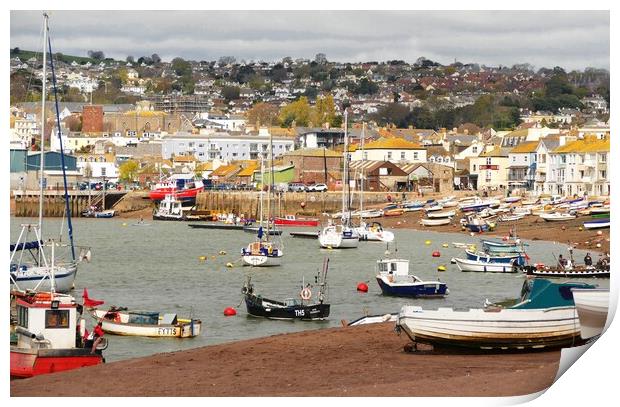 Teignmouth Harbour Devon Print by Anthony Michael 