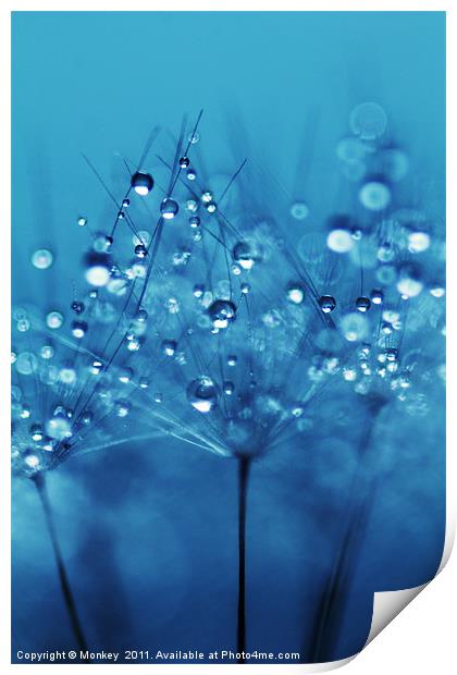 Soft Blue Water Droplets Print by Anthony Michael 