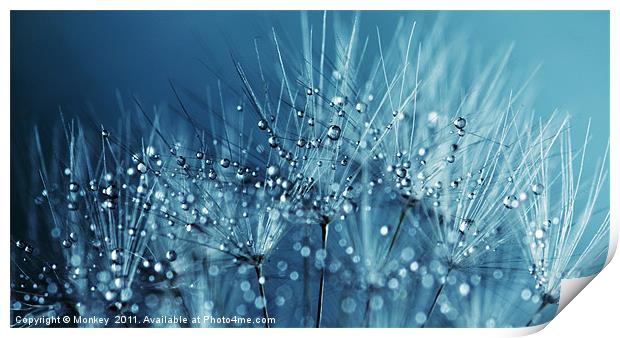 Water Droplets Blue Print by Anthony Michael 