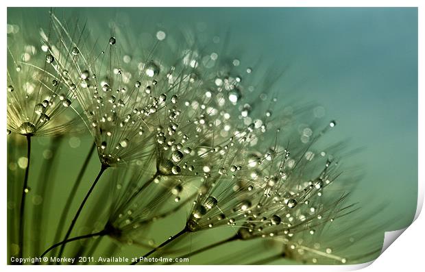 Sparkling Water Droplets Print by Anthony Michael 
