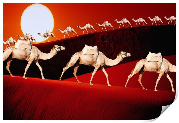 Camel Train Print by Anthony Michael 