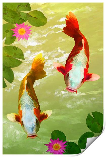 Koi Carp Oriental Fish  Print by Anthony Michael 