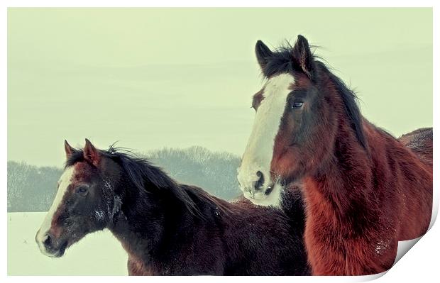 Horses in winter Print by Anthony Michael 