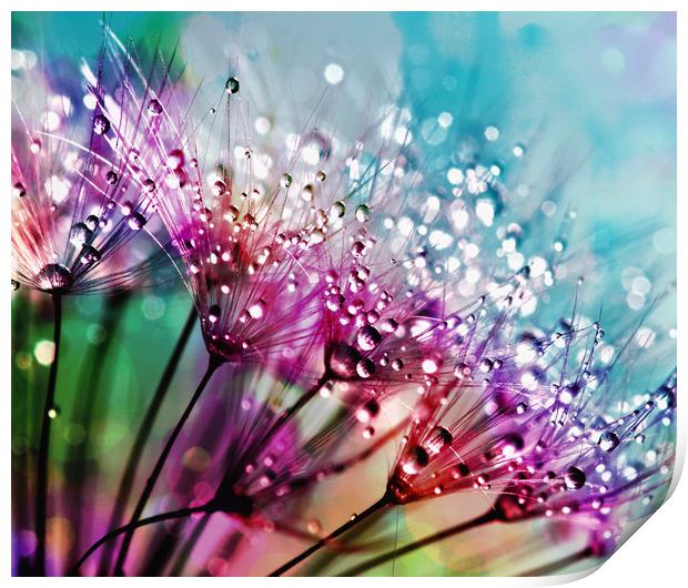 Rainbow Water Droplets Print by Anthony Michael 