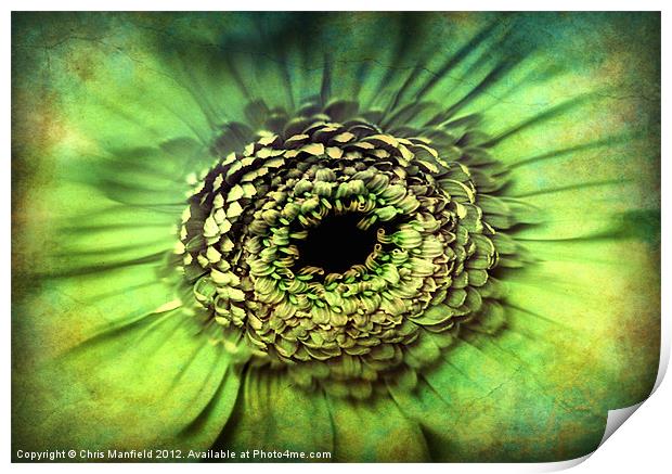 Eye of The Beholder Print by Chris Manfield