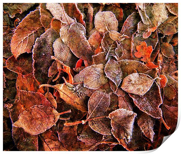 The Leaves Upon The Ground Print by Chris Manfield