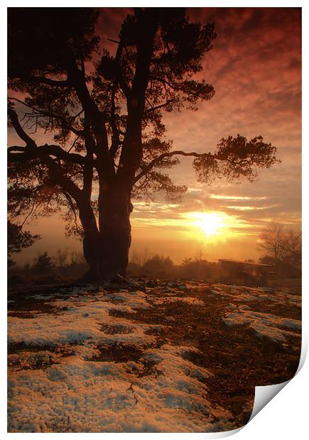 Sunset on Leith Hill Print by Chris Manfield