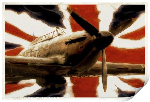 Flying The Flag Print by Chris Manfield