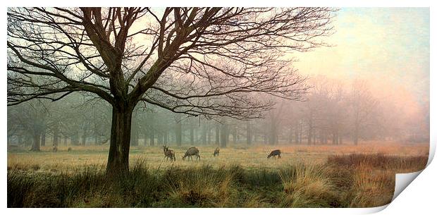  Green and Grey Print by Chris Manfield