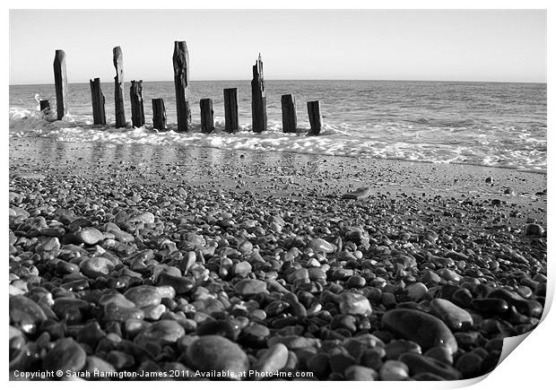 Winchelsea beach, East Sussex Print by Sarah Harrington-James