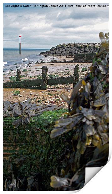 Reculver beach, Kent Print by Sarah Harrington-James
