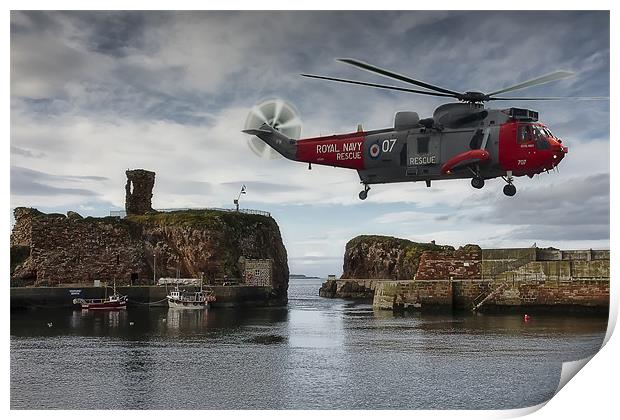 Sea King Print by Sam Smith