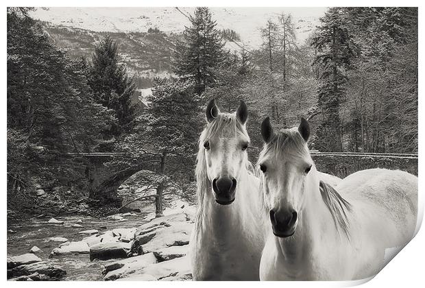 White Horses Print by Sam Smith