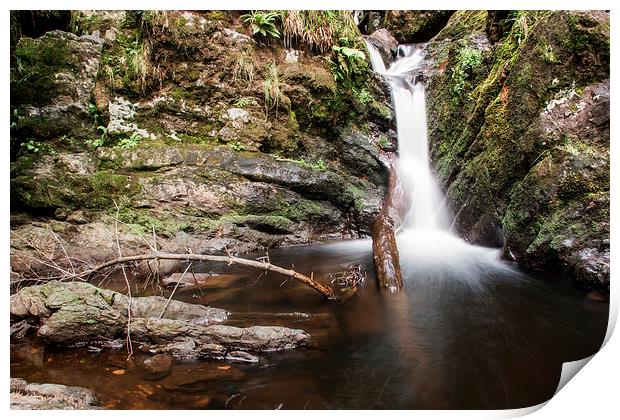 Little Fawn Waterfall Print by Sam Smith