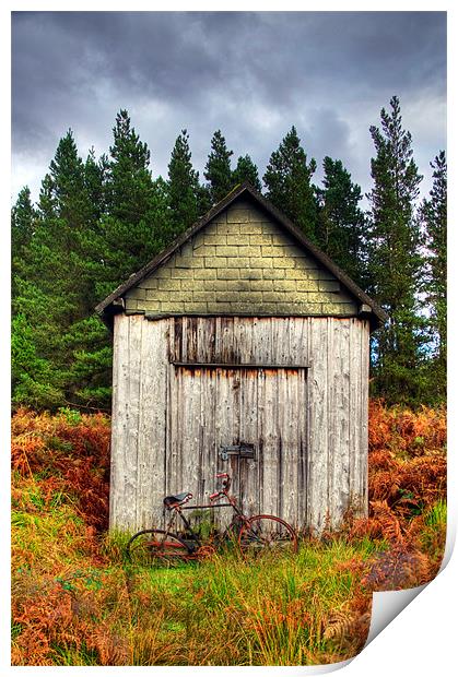 Bike shed Print by Sam Smith