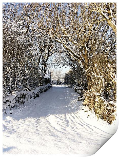 Cwyfan Snow Walk Print by Ian Tomkinson
