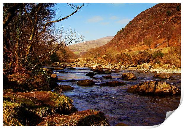Snowdonia  River 2 Print by Ian Tomkinson