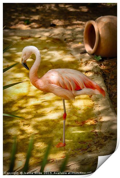 Flamingo Print by Joanne Wilde