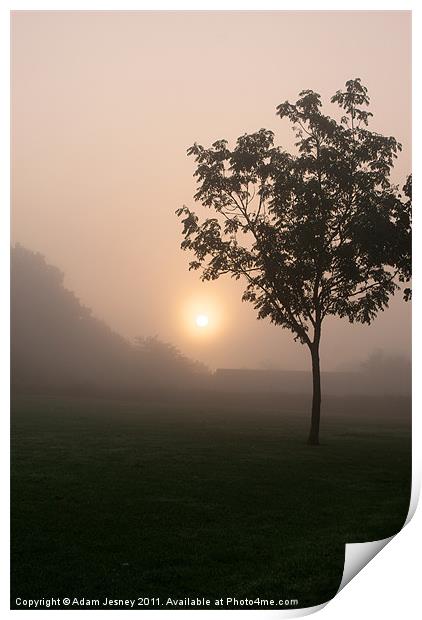Misty tree Print by Adam Jesney