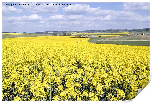Rapeseed fields Oxfordshire Print by Jim Hellier