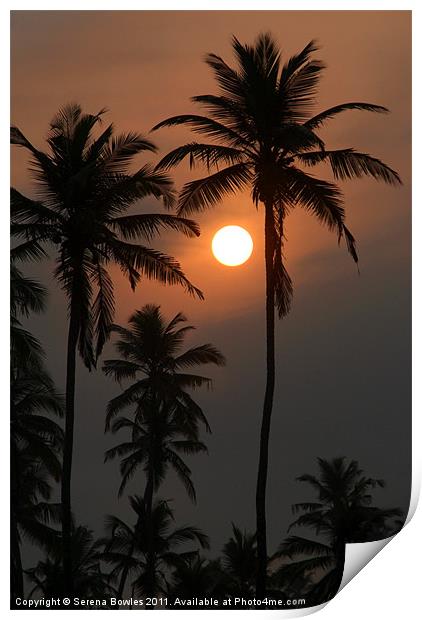 Palm Trees at Sunrise Benaulim Print by Serena Bowles