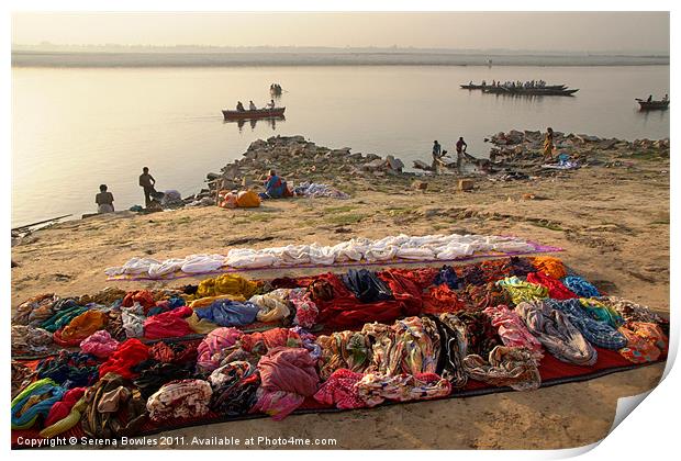 Waiting to be Washed, Banks of River Ganges, Varan Print by Serena Bowles
