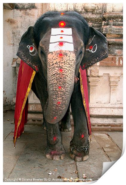Laxmi the Elephant in Hampi Temple Print by Serena Bowles