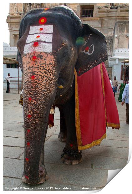 Laxmi the Elephant in Hampi Temple Print by Serena Bowles