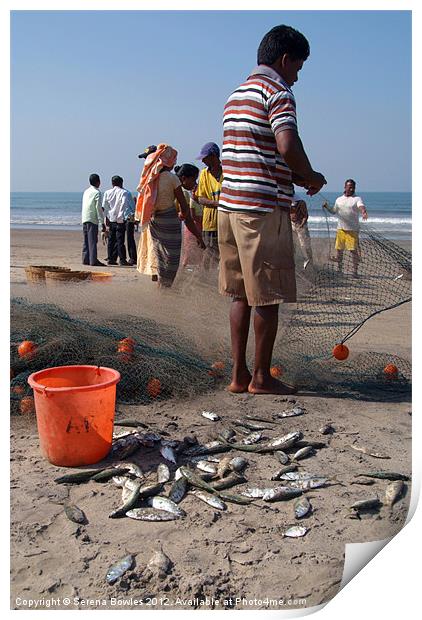 Fishermen Sorting the Catch Arambol Print by Serena Bowles