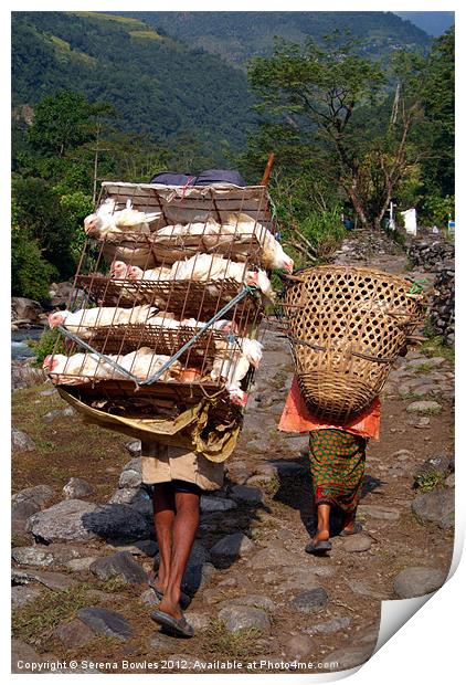 Man Carrying Chickens near Birethanti Print by Serena Bowles