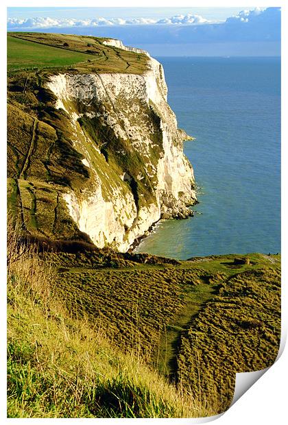 Chalky White Cliffs Print by Serena Bowles