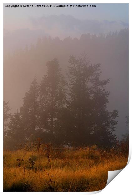 Morning Mist Poon Hill Print by Serena Bowles